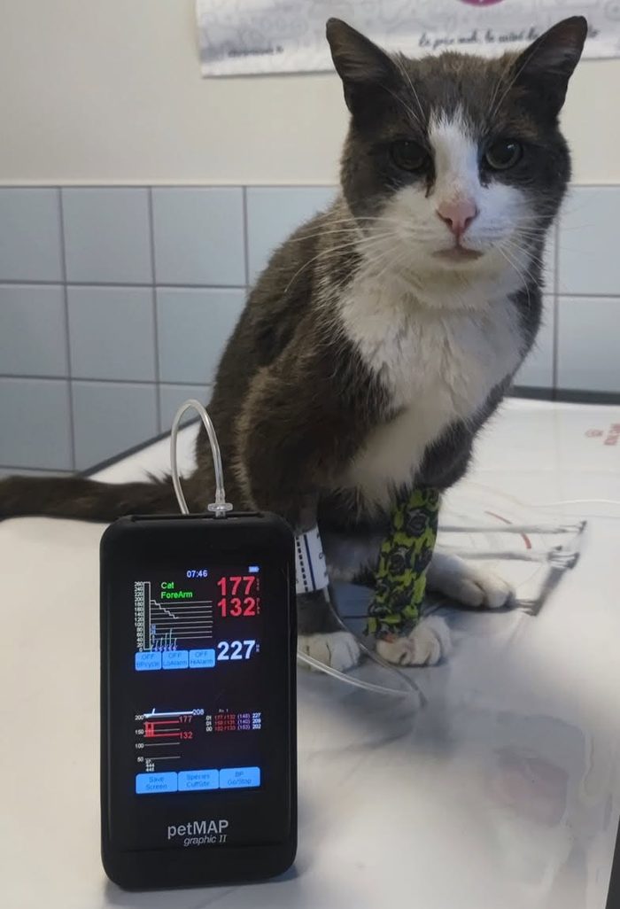 Mesure de l'hypertension artérielle