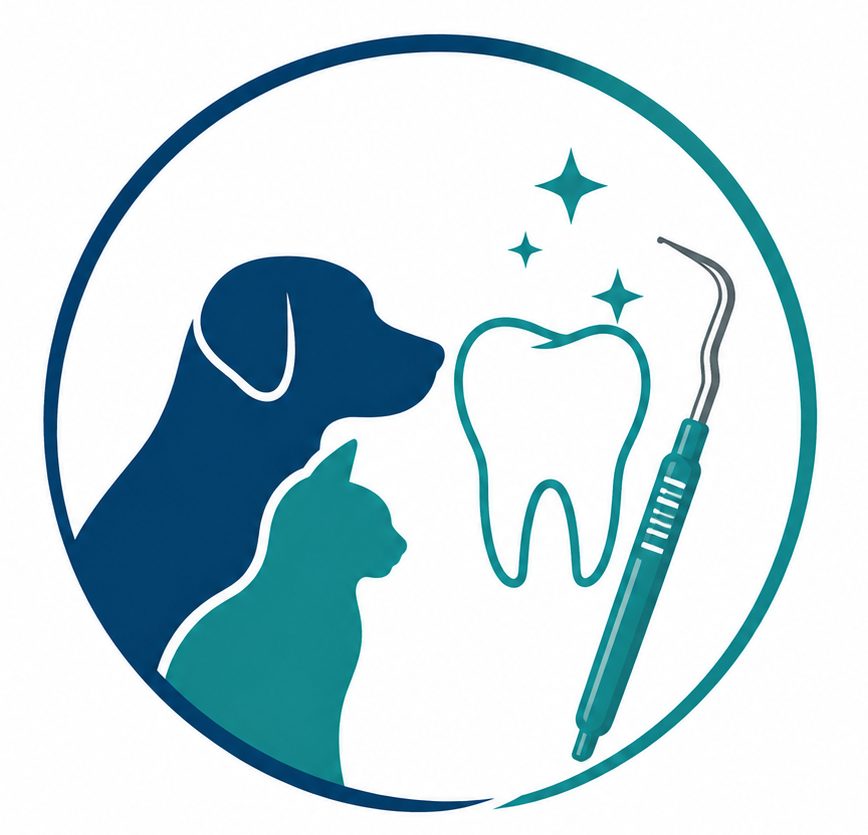 Dentisterie